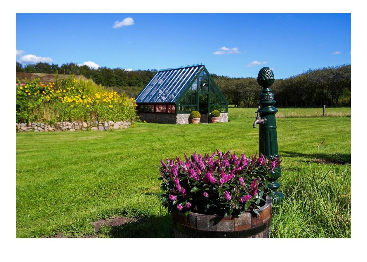 Bed and Breakfast Holmsminde Выборг Экстерьер фото